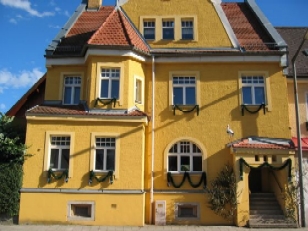 bidou presque 3 mois